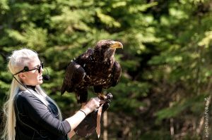 Parc Omega [été 2017]