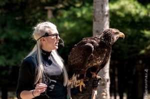 Parc Omega [été 2017]